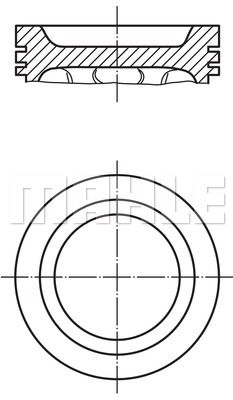 WILMINK GROUP Поршень WG1201742